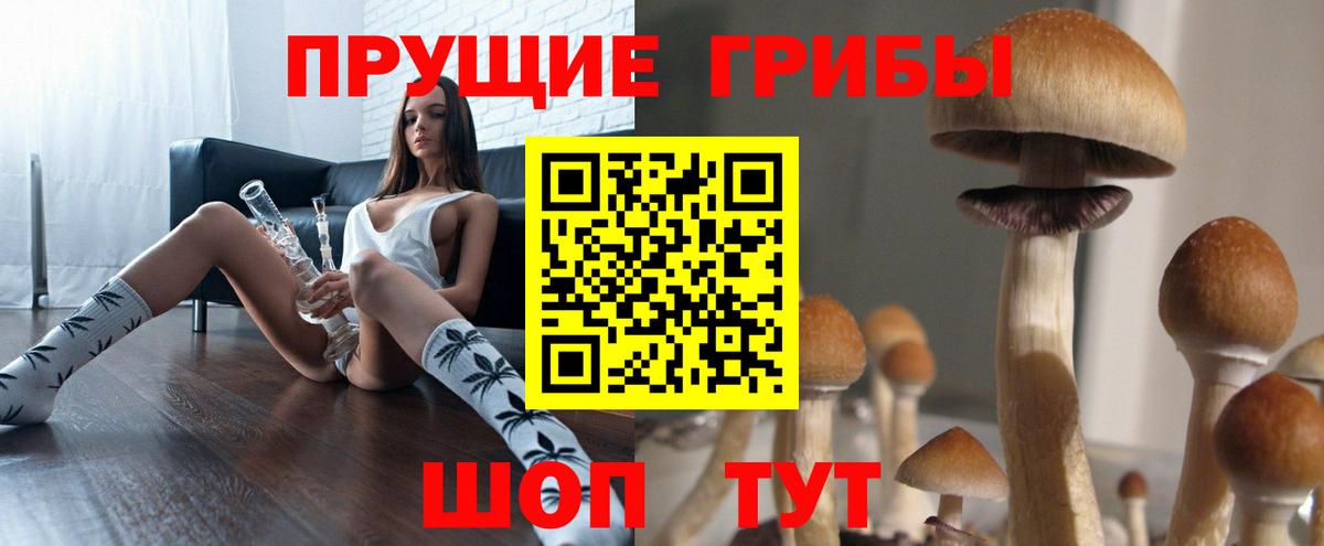 Усинск  Псилоцибиновые грибы мицелий  Вход с VPN 